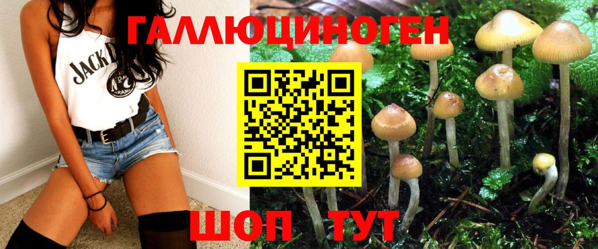 Псилоцибиновые грибы GOLDEN TEACHER  Вход с VPN  Оренбург  Псилоцибиновые грибы Psilocybine cubensis 